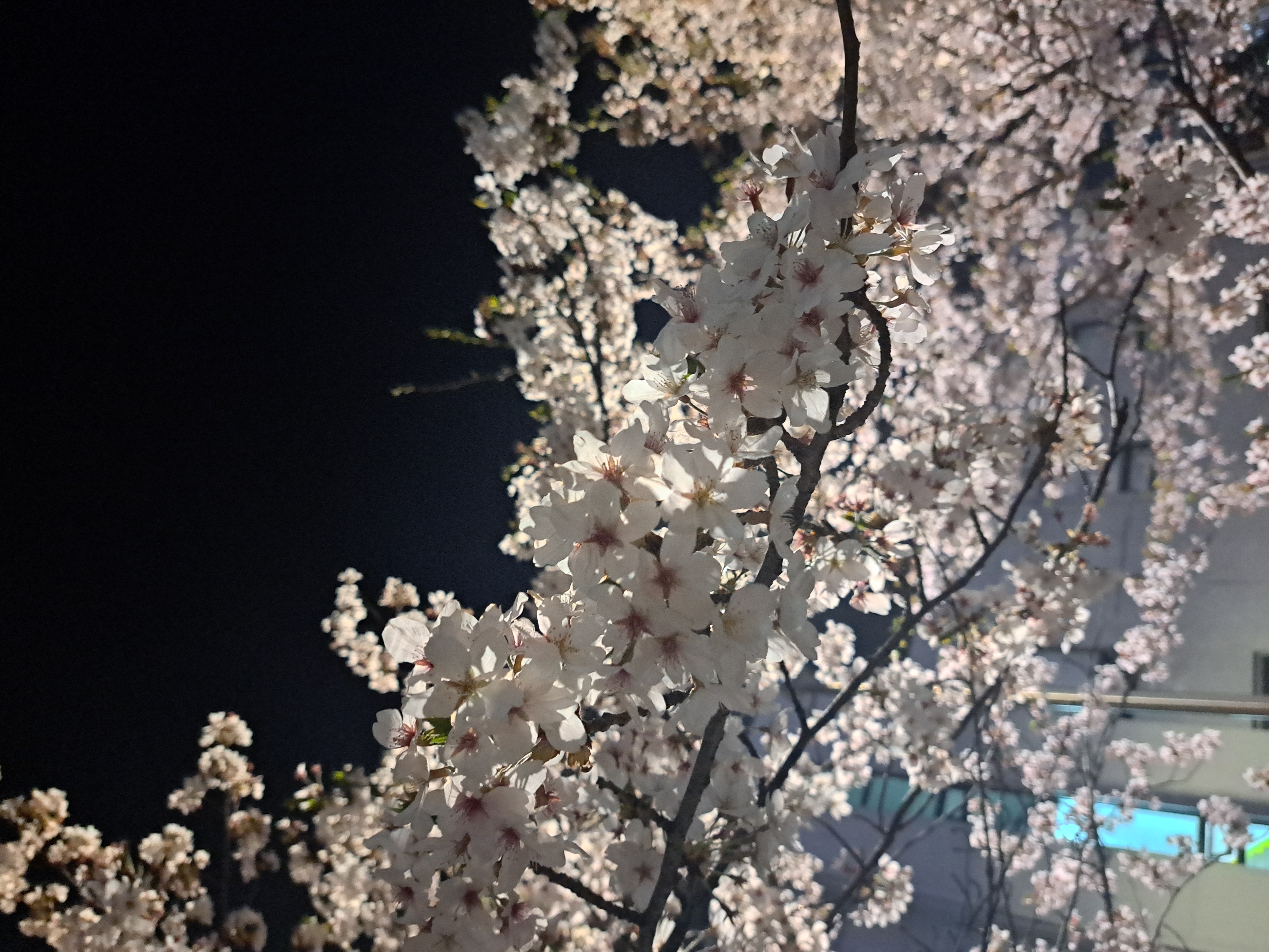 이성현