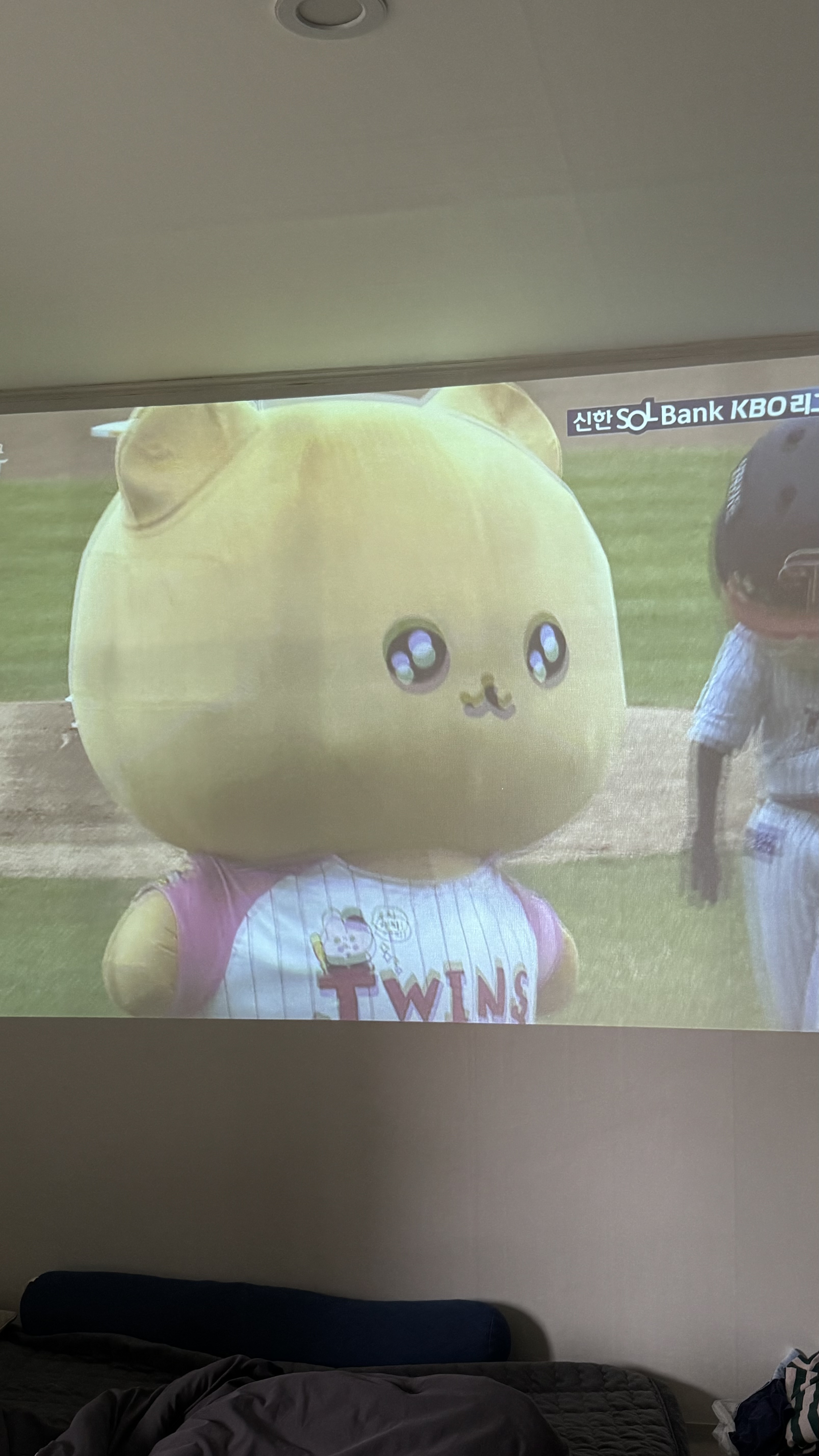 초코칩